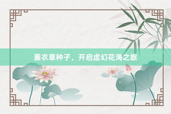 薰衣草种子，开启虚幻花海之旅