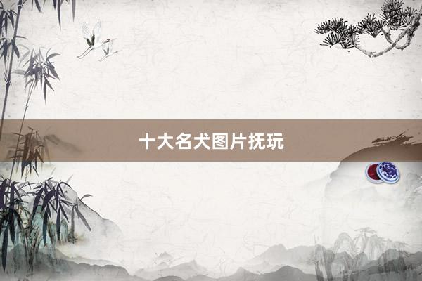 十大名犬图片抚玩