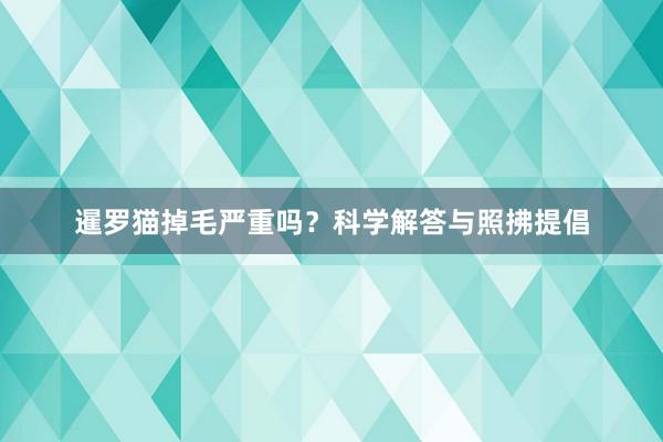 暹罗猫掉毛严重吗？科学解答与照拂提倡