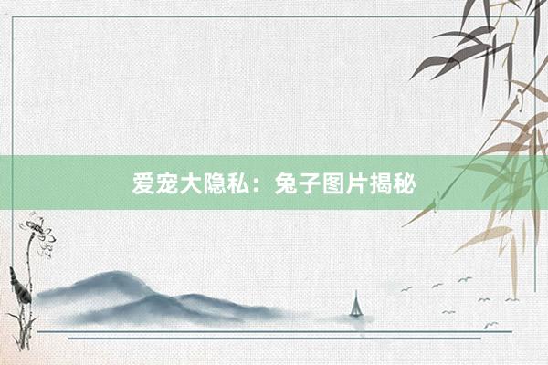 爱宠大隐私：兔子图片揭秘