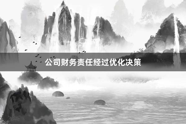 公司财务责任经过优化决策